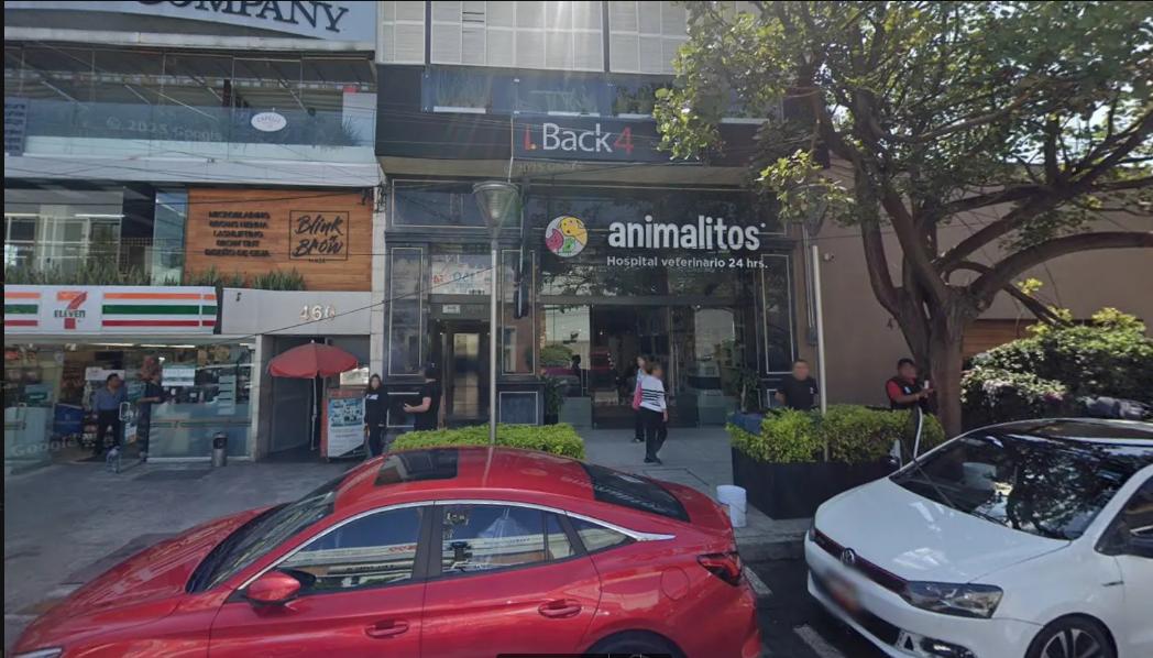 Gran local sobre la prestigiosa Prado Norte